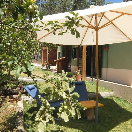 Ecobosque Villa Nadadouro Bagian luar foto