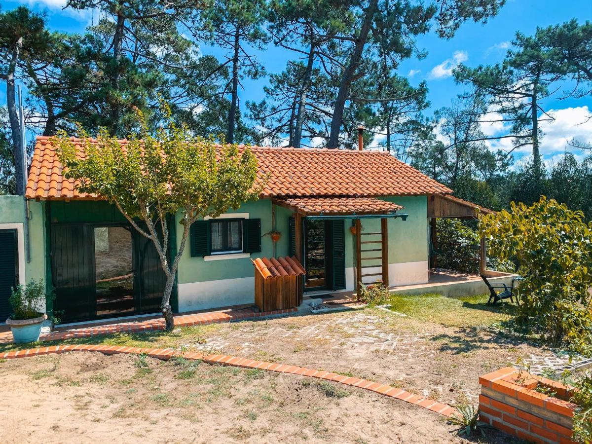 Ecobosque Villa Nadadouro Bagian luar foto