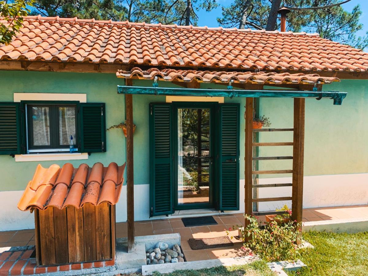 Ecobosque Villa Nadadouro Bagian luar foto