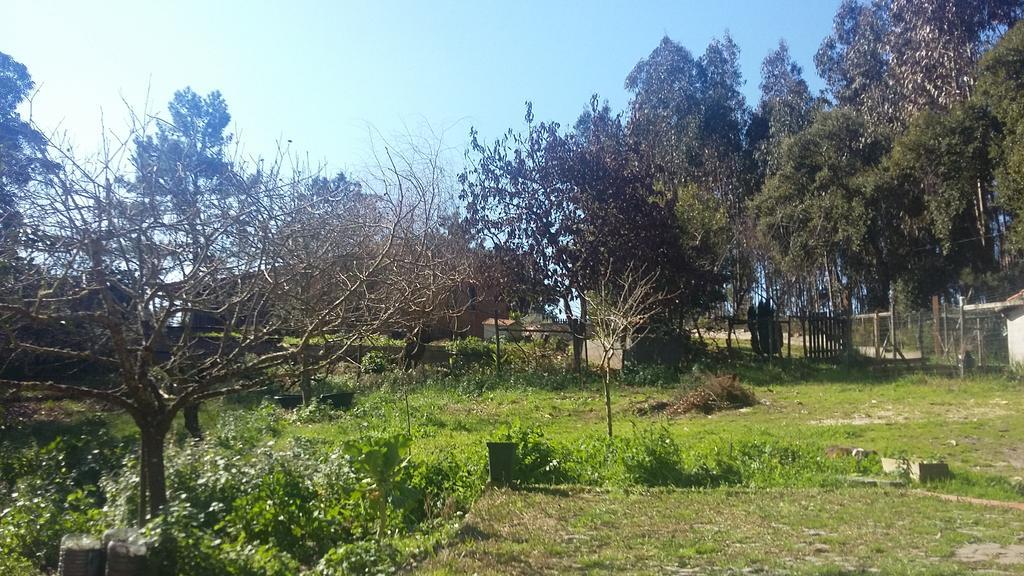 Ecobosque Villa Nadadouro Bagian luar foto