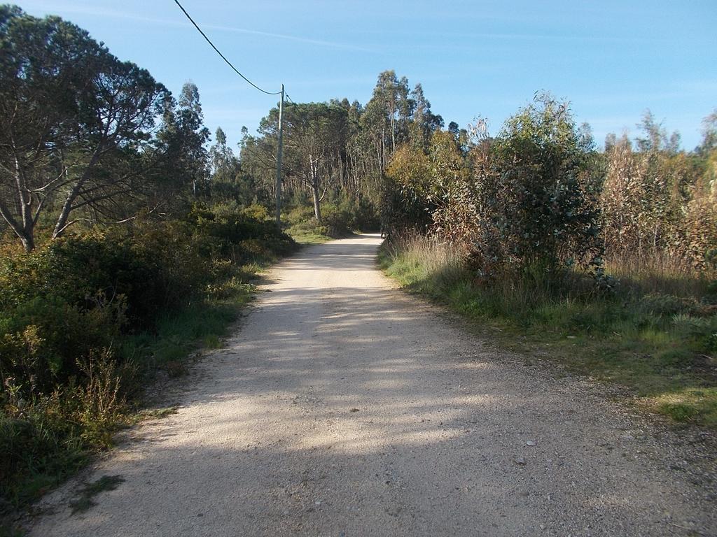 Ecobosque Villa Nadadouro Bagian luar foto