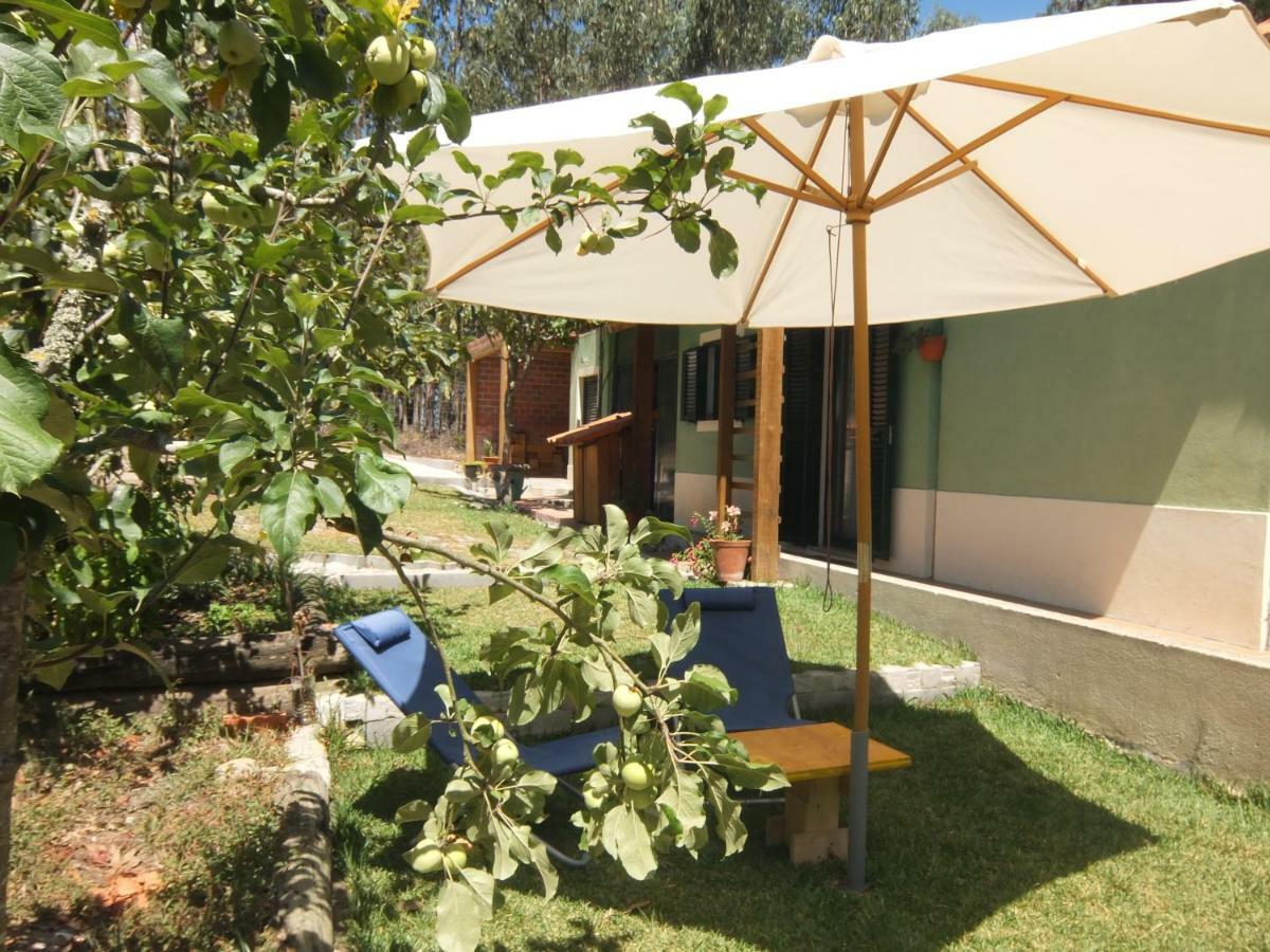 Ecobosque Villa Nadadouro Bagian luar foto