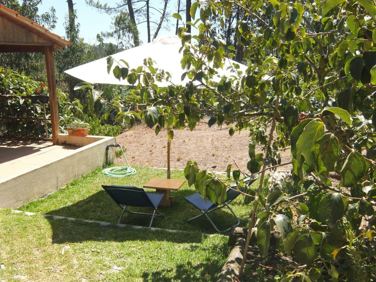 Ecobosque Villa Nadadouro Bagian luar foto